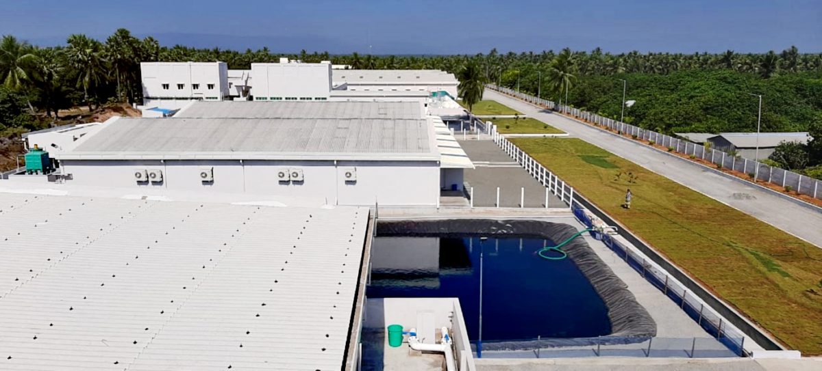 Avanti feeds Division hatchey top view