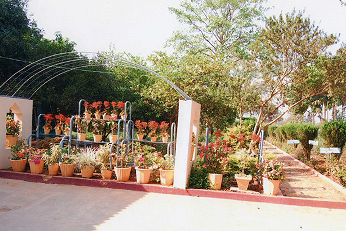 Avanti feeds community image