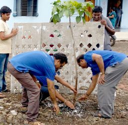 Avanti feeds environment day